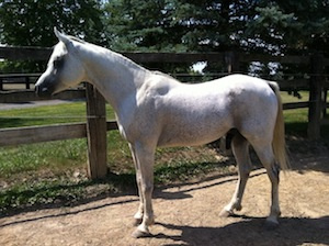 Custom Photo Test side view