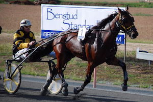 Standardbred Deville's 1st Win in Australia