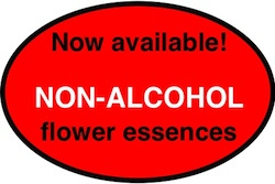 Non-alcohol flower essence formulas for Pets