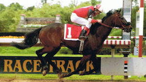 Winning throughbred performance