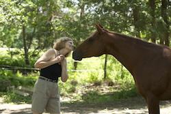 Horses communicate with their owners
